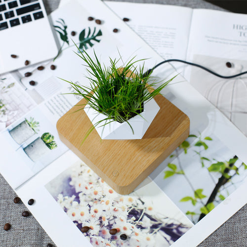 Magnetic Levitation Polygonal Wood Grain Potted Plant